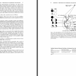 دانلود پی دی اف کتاب معاینه نورولوژیک استفن گلدبرگ PDF