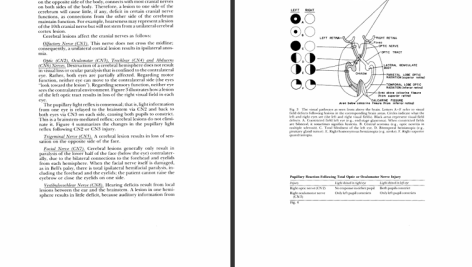 دانلود پی دی اف کتاب معاینه نورولوژیک استفن گلدبرگ PDF