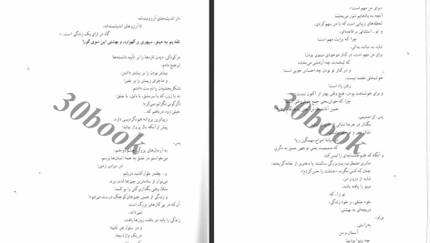 دانلود پی دی اف کتاب آرمان ها و ایدئولوژی ها ترنس بال PDF