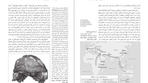 دانلود پی دی اف کتاب انسان از آغاز تا 4000 سال پیش از میلاد اَیان تترسال عزت الله نگهبان PDF