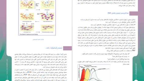 دانلود پی دی اف کتاب جامع پی آر پی و ترمیم زخم محمد حسین ارژنگیان PDF