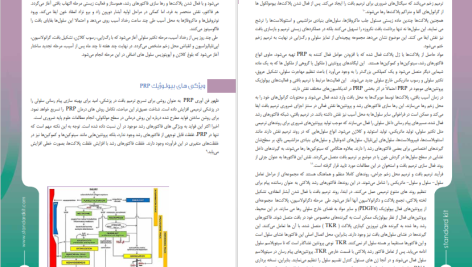 دانلود پی دی اف کتاب جامع پی آر پی و ترمیم زخم محمد حسین ارژنگیان PDF