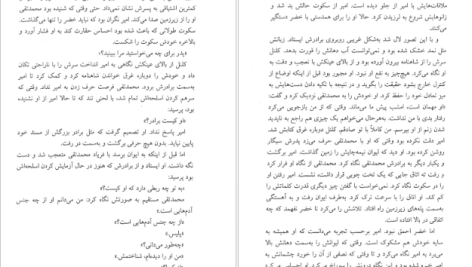 دانلود پی دی اف کتاب زوال کلنل محمود دولت آبادی PDF