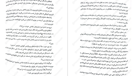 دانلود پی دی اف کتاب در قفل شده فریدا مک فادن PDF