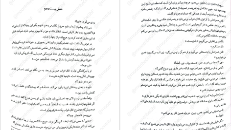 دانلود پی دی اف کتاب در قفل شده فریدا مک فادن PDF