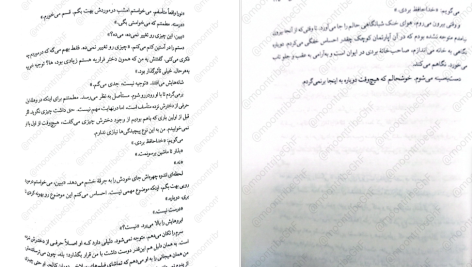 دانلود پی دی اف کتاب در قفل شده فریدا مک فادن PDF