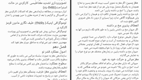 دانلود پی دی اف کتاب نوروسایکولوژی انسان برایان کولب PDF