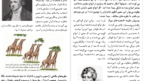 دانلود پی دی اف کتاب تکامل فرانک رودز PDF