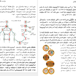 دانلود پی دی اف کتاب تکامل فرانک رودز PDF