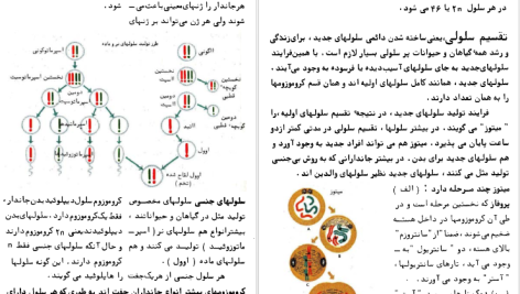 دانلود پی دی اف کتاب تکامل فرانک رودز PDF