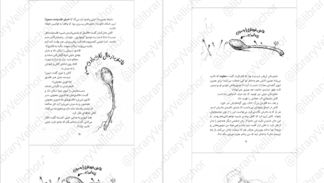 دانلود پی دی اف کتاب زمانه‌ی جادو 2 کرسیدا کاوئل PDF