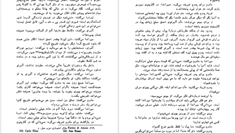 دانلود پی دی اف کتاب الفبای خانواده ناتالیا جینتسبورگ PDF