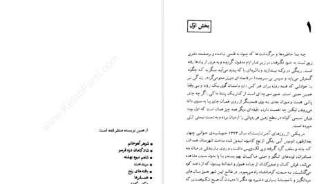 دانلود پی دی اف کتاب بوته زار علی محمد افغانی PDF