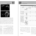 دانلود پی دی اف کتاب ایمونولوژی سلولی و مولکولی ابوالعباس PDF