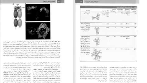 دانلود پی دی اف کتاب ایمونولوژی سلولی و مولکولی ابوالعباس PDF