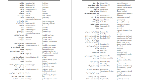 دانلود پی دی اف کتاب فرهنگ لغت آلمانی به فارسی جلد 2 فیروز ابراهیم نسبت PDF