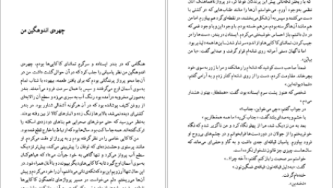 دانلود پی دی اف کتاب تا زمانی که هاینریش بل PDF