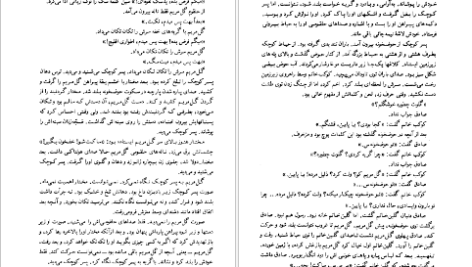 دانلود پی دی اف کتاب دل کور اسماعیل فصیح PDF