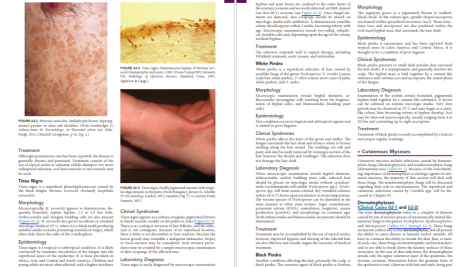 دانلود پی دی اف کتاب PDF Medical Microbiology Murray