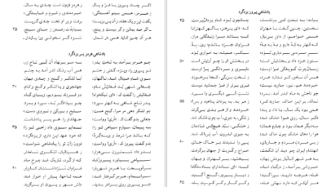 دانلود پی دی اف کتاب نامه باستان میر جلال الدین کزازی جلد هشتم PDF