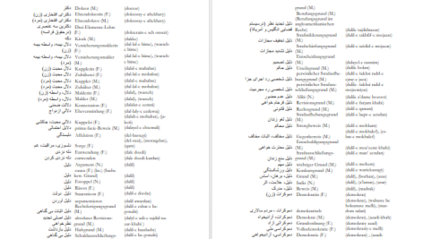 دانلود پی دی اف کتاب فرهنگ لغت آلمانی به فارسی جلد 2 فیروز ابراهیم نسبت PDF