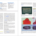 دانلود پی دی اف کتاب PDF Medical Microbiology Murray