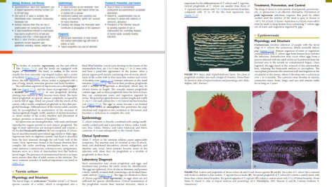 دانلود پی دی اف کتاب PDF Medical Microbiology Murray