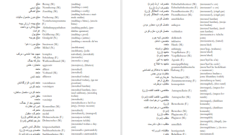 دانلود پی دی اف کتاب فرهنگ لغت آلمانی به فارسی جلد 2 فیروز ابراهیم نسبت PDF