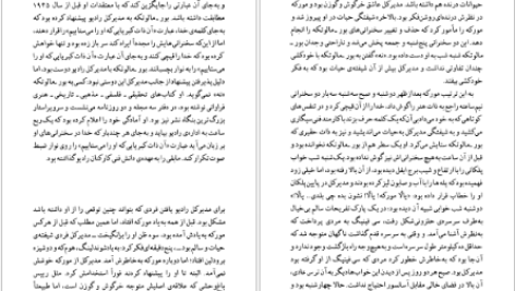 دانلود پی دی اف کتاب تا زمانی که هاینریش بل PDF