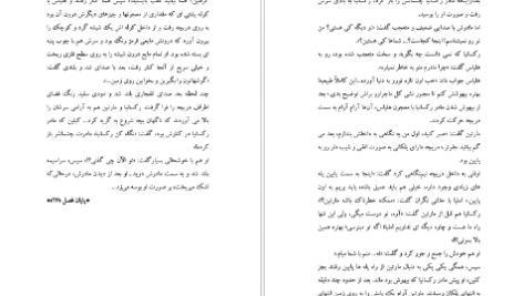 دانلود پی دی اف کتاب افسانه زنان جنگجو فراس رمضانی PDF