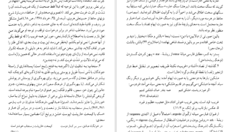 دانلود پی دی اف کتاب شرح شوق سعید حمیدیان جلد دوم PDF