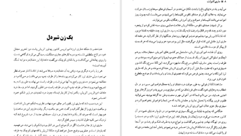 دانلود پی دی اف کتاب زندگی و سرانجام ماری آنتوانت پیر زلوف PDF