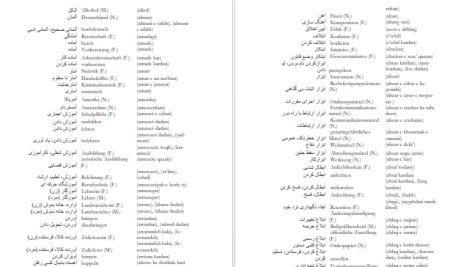 دانلود پی دی اف کتاب فرهنگ لغت آلمانی به فارسی جلد 2 فیروز ابراهیم نسبت PDF