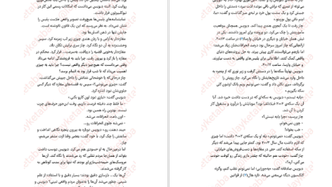 دانلود پی دی اف کتاب عکس فوری برندون سندرسون PDF