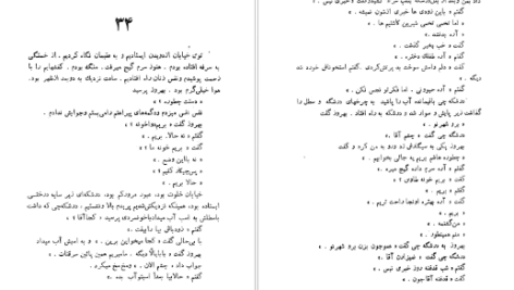 دانلود پی دی اف کتاب طوطی زکریا هاشمی PDF