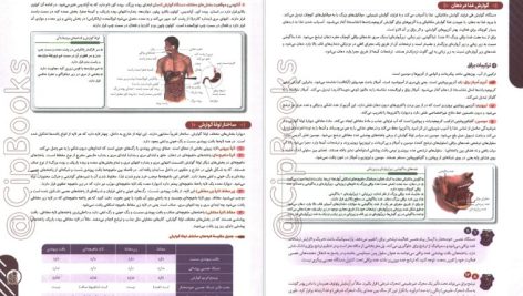 دانلود پی‌دی‌اف کتاب تست زیست‌شناسی دهم دکتر علی‌محمد عمارلو PDF