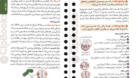 دانلود پی دی اف کتاب ژنتیک کنکور پیمان رسولی PDF