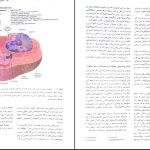 دانلود پی دی اف کتاب آسیب شناسی پایه رابینز کومار ‍PDF