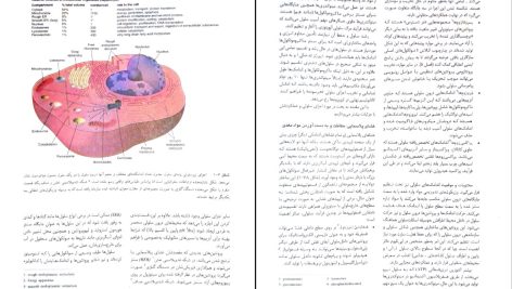 دانلود پی دی اف کتاب آسیب شناسی پایه رابینز کومار ‍PDF