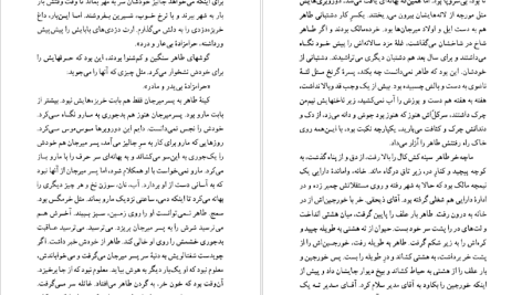 دانلود پی دی اف کتاب از خم چمبر محمود دولت‌ آبادی PDF