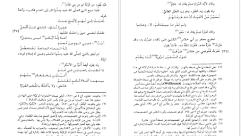 دانلود پی دی اف کتاب الأصنام أبو المنذر هشام بن محمد بن السائب الکلی PDF