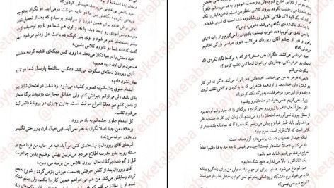 دانلود پی دی اف کتاب بخش دی فریدا مک فادن PDF