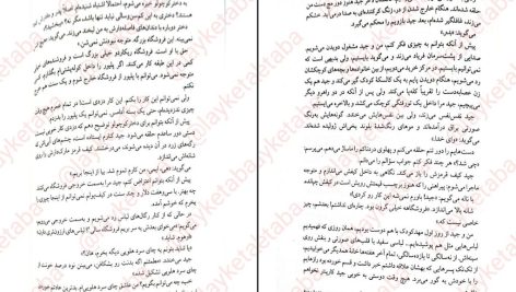 دانلود پی دی اف کتاب بخش دی فریدا مک فادن PDF