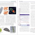 دانلود پی دی اف کتاب بیولوژی کمپبل 2020 مصطفی پویان PDF