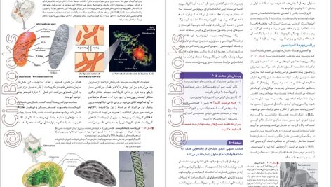 دانلود پی دی اف کتاب بیولوژی کمپبل 2020 مصطفی پویان PDF