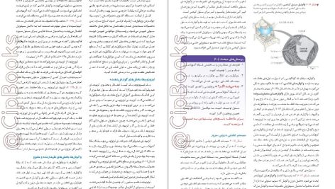 دانلود پی دی اف کتاب بیولوژی کمپبل 2020 مصطفی پویان PDF