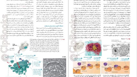 دانلود پی دی اف کتاب بیولوژی کمپبل 2020 مصطفی پویان PDF