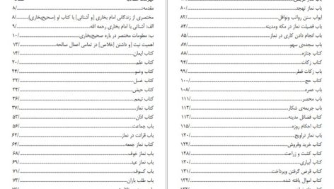 دانلود پی دی اف کتاب جامع احادیث کوتاه صحیح شاکر الذهبی PDF