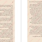 دانلود پی دی اف کتاب دختر آرزو  نیکی لافتین PDF