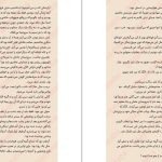 دانلود پی دی اف کتاب دختر آرزو  نیکی لافتین PDF